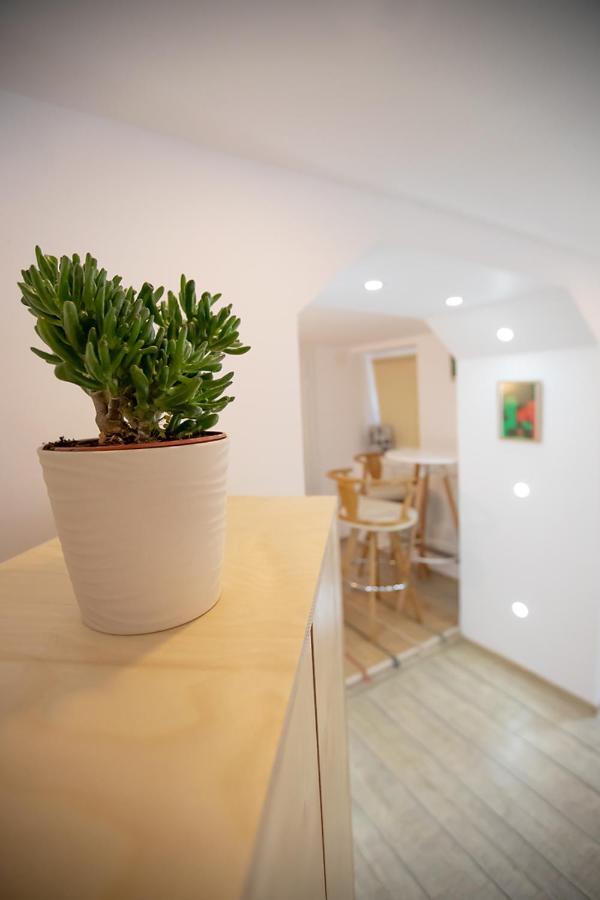 Brasha Residence براشوف المظهر الخارجي الصورة